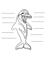 A coloring page of dolphin