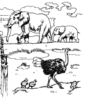 A coloring page of elephant