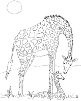 A coloring page of giraffe
