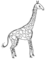 A coloring page of giraffe