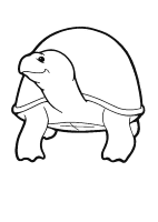 A coloring page of turtle