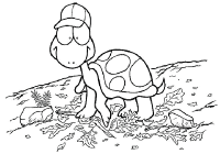 A coloring page of turtle