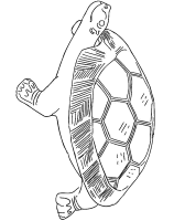 A coloring page of turtle