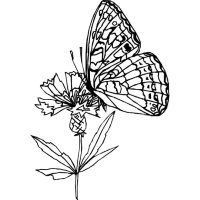 A coloring page of spring
