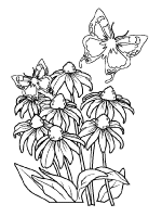 A coloring page of spring