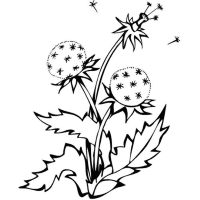 A coloring page of spring