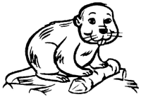 A coloring page of beavers