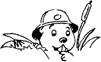 A coloring page of beavers